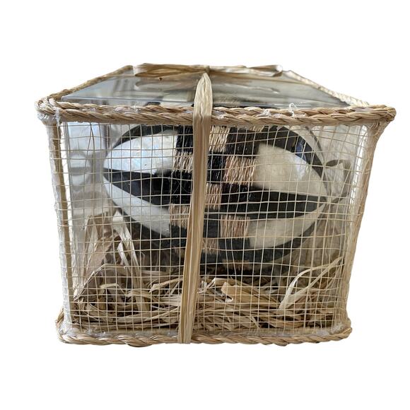 NEW MacKenzie-Childs Woodland Capiz Easter Eggs Set 2 Courtly Check & Stripes - Picture 5 of 5